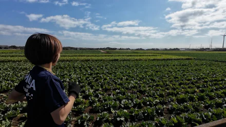 タフなアップダウンに壮大な自然!
三浦国際市民マラソンコース紹介&攻略法